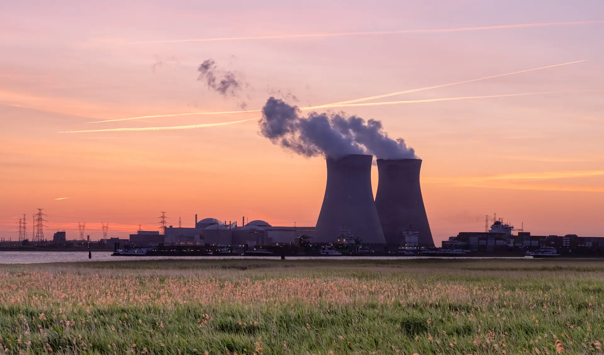 Power-station cooling towers at dusk beyond a golden reed field.