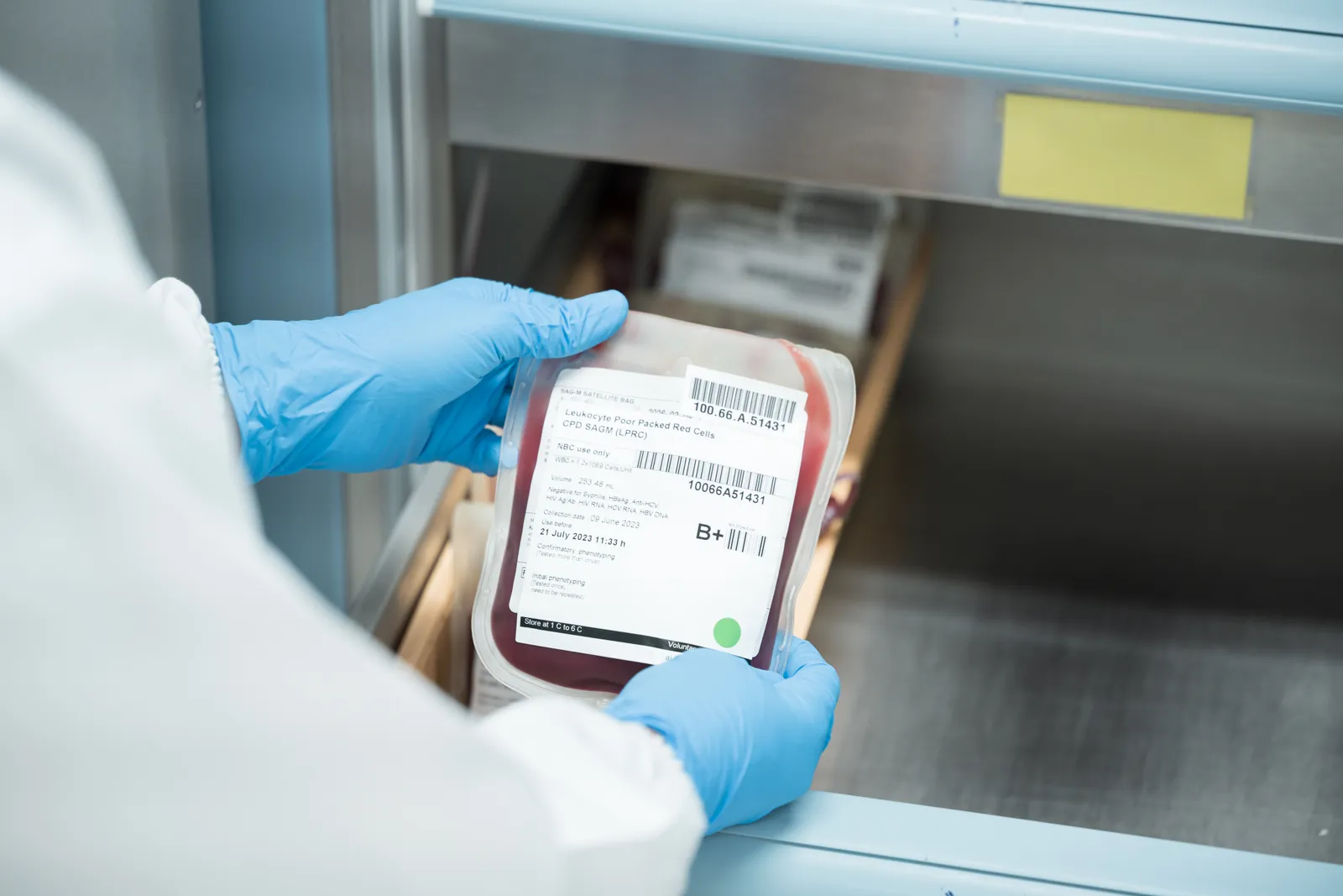 A technician checking a labeled blood bag at a cold-storage unit.